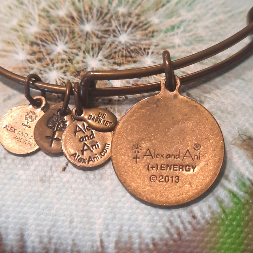 Alex & Ani Set "Energy" ❤️ - Picture 7 of 7